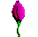 fleur2